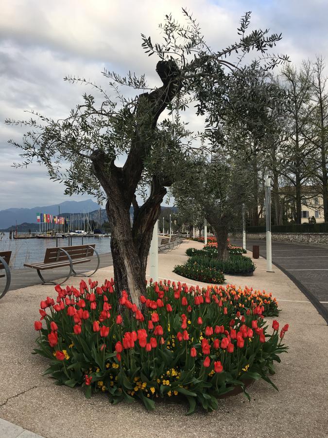 Caba Holiday Bardolino D'Annunzio Luaran gambar